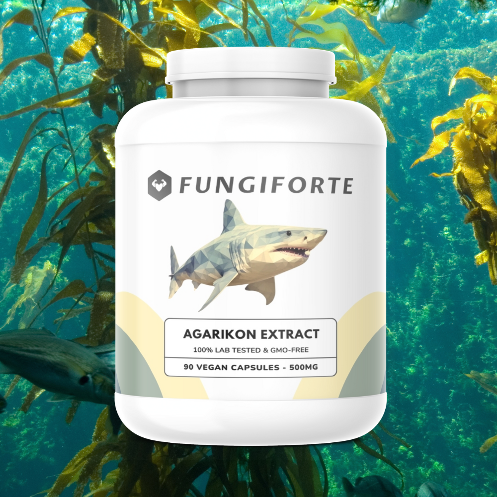 Agarikon Extrakt 500mg (Bio) - 90 Stück