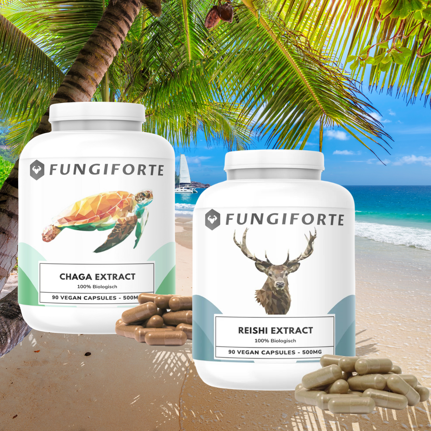 Chaga & Reishi Extrakt Paket