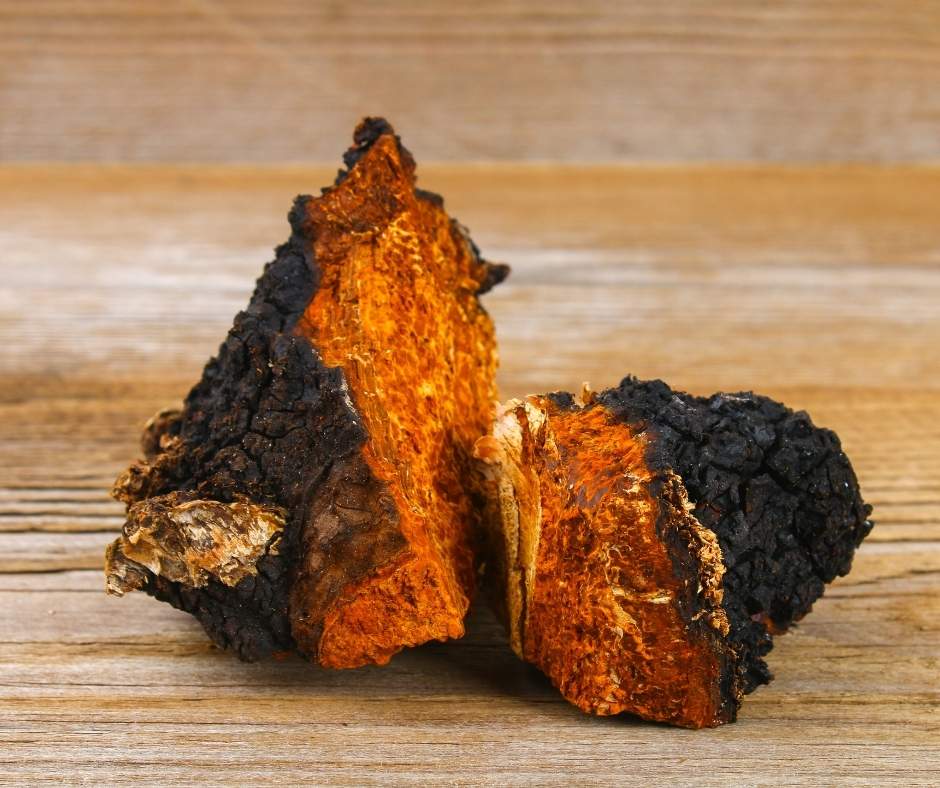 Chaga-Granulat (bio)
