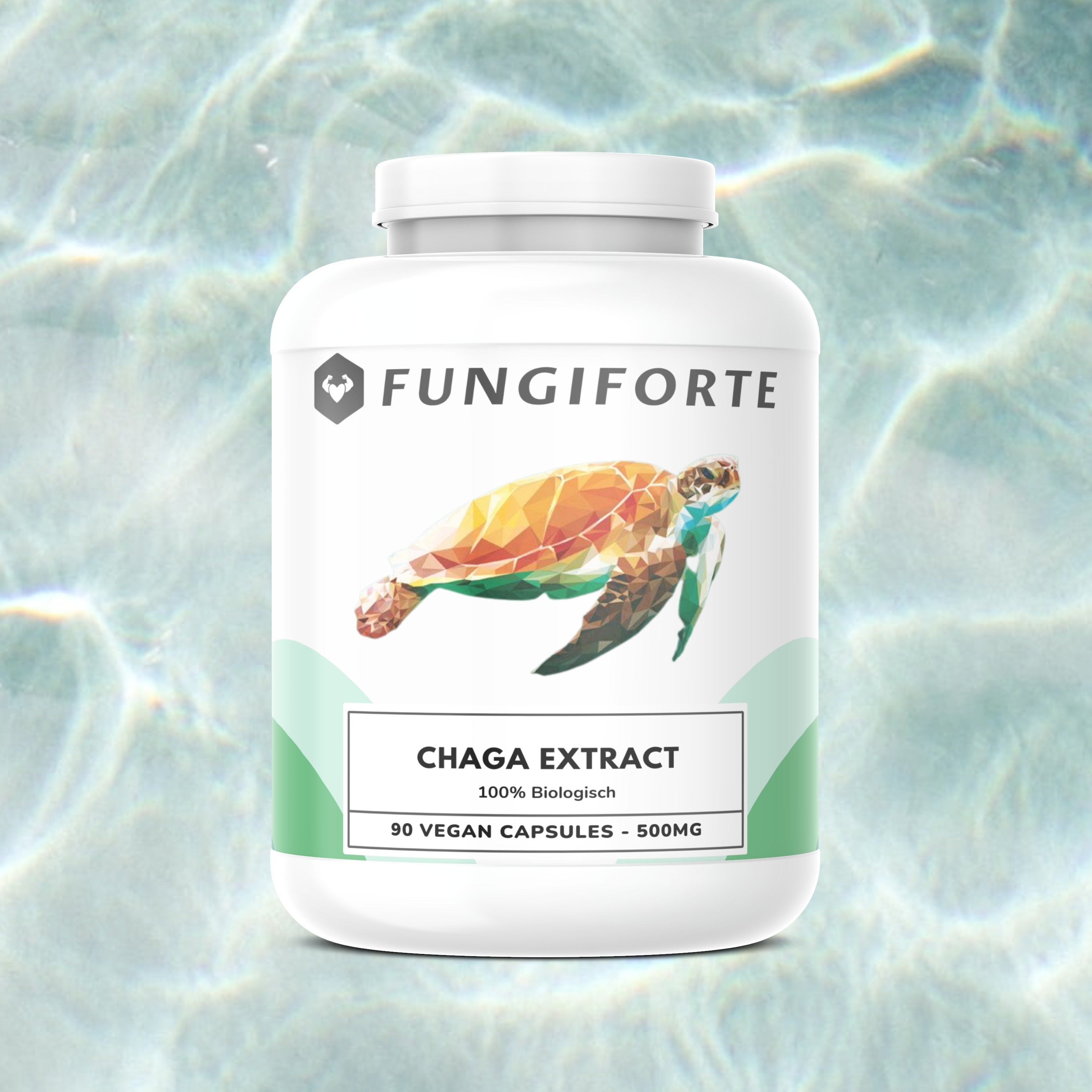 Chaga Extrakt 500mg (Bio) - 90 Stück