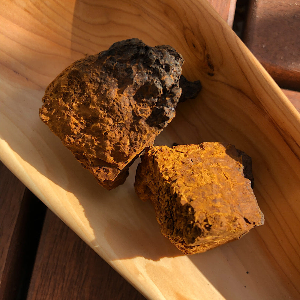 Chaga Extrakt 500mg (Bio) - 90 Stück
