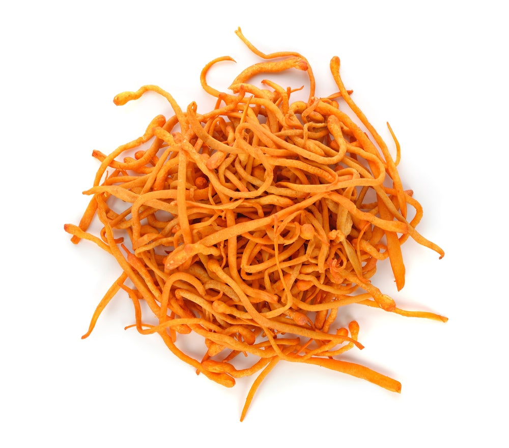 Cordyceps (organic) - Dried - Grade A