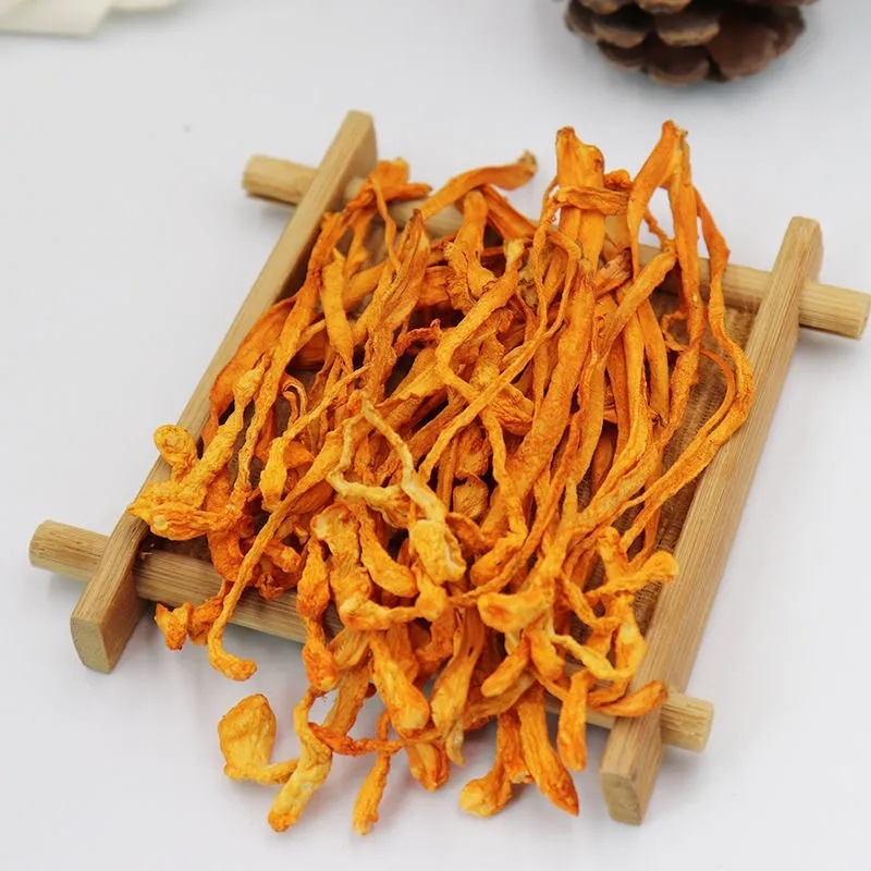 Cordyceps (organic) - Dried - Grade A