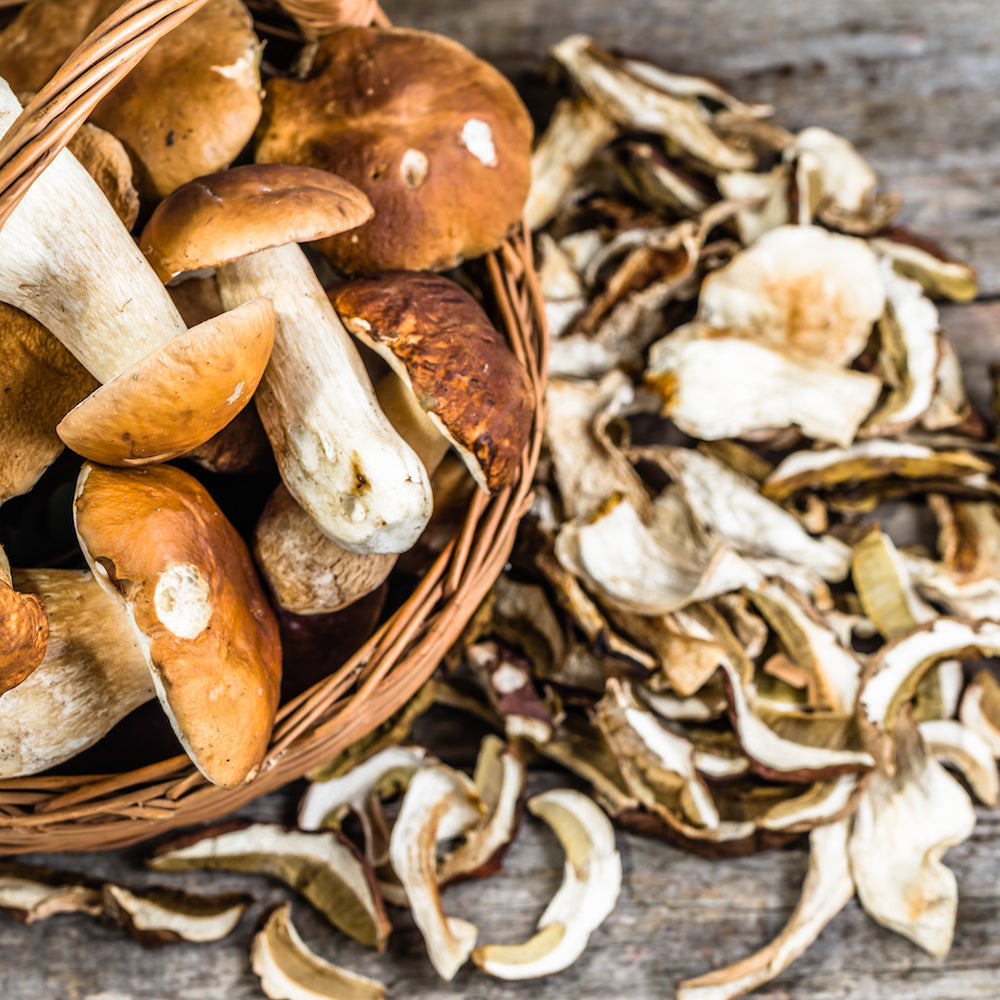Porcini (wild foraged) - Dried - Grade A