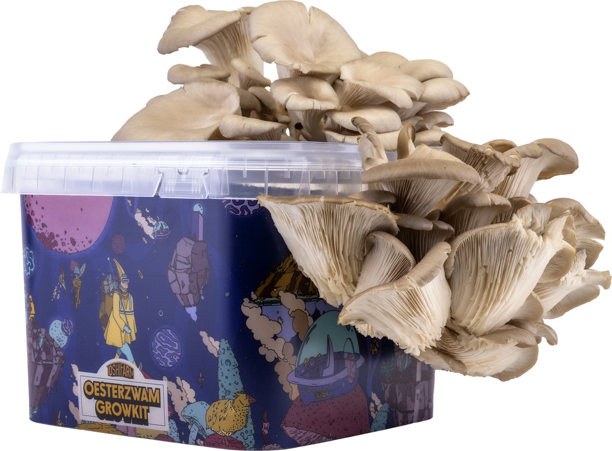 Triple Breeding Bundle pour 3 couleurs de pleurotes