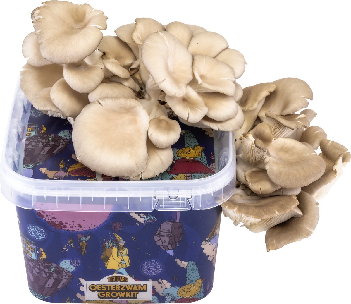 Triple Breeding Bundle pour 3 couleurs de pleurotes