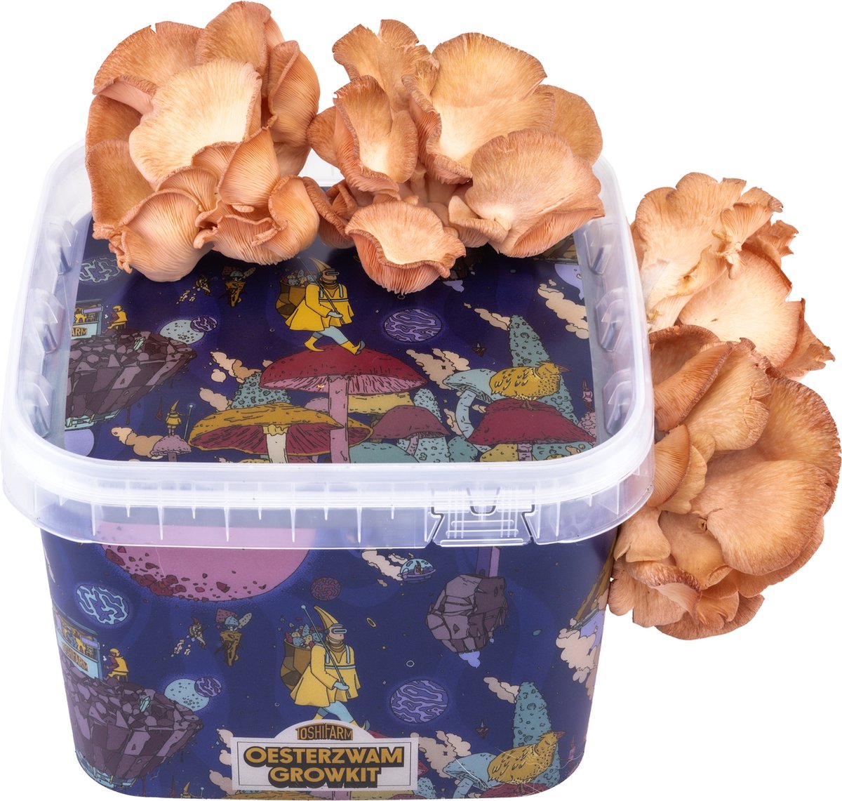 Triple Breeding Bundle pour 3 couleurs de pleurotes