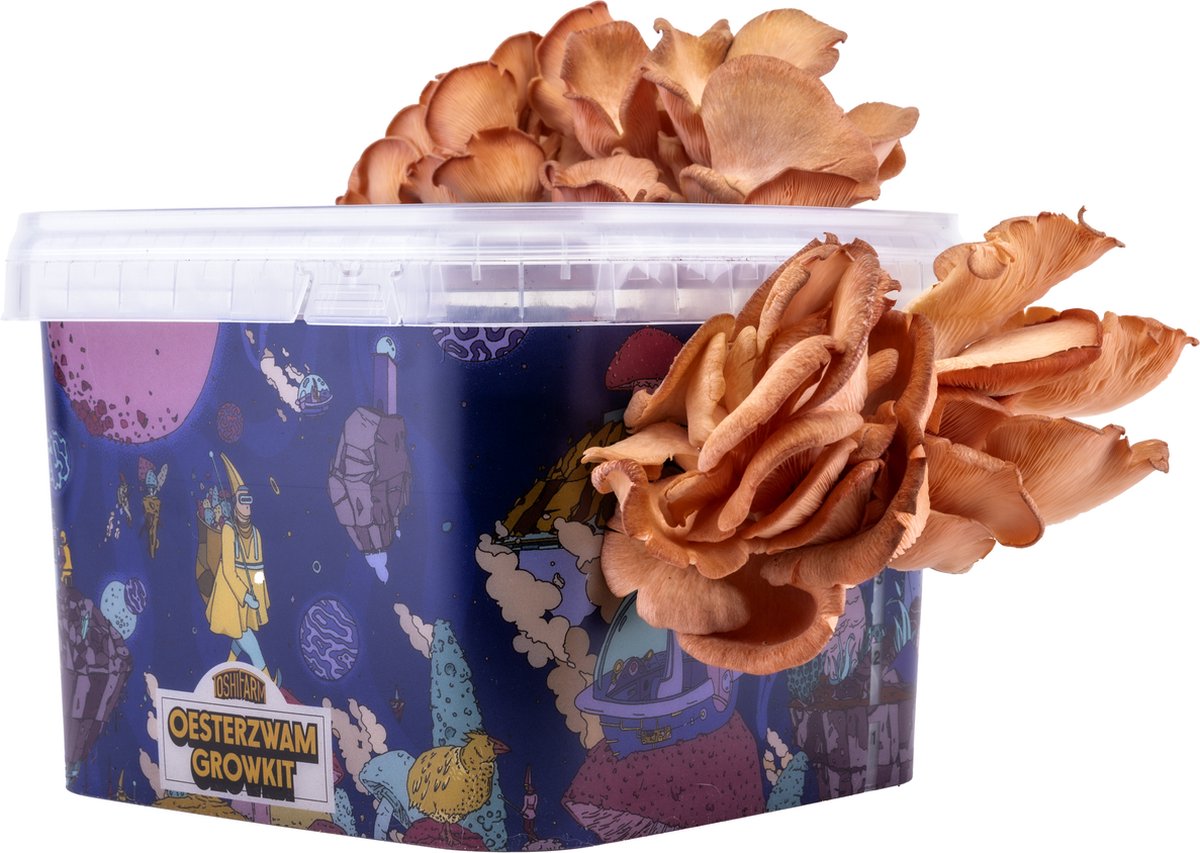 Triple Breeding Bundle pour 3 couleurs de pleurotes