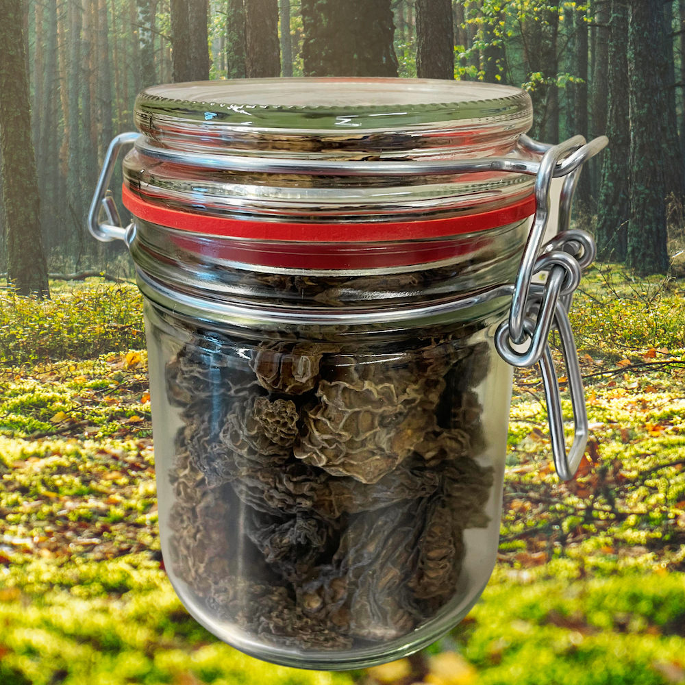 Kegelmorieljes Spéciales (wildpluk) - Gedroogd - Grade A+