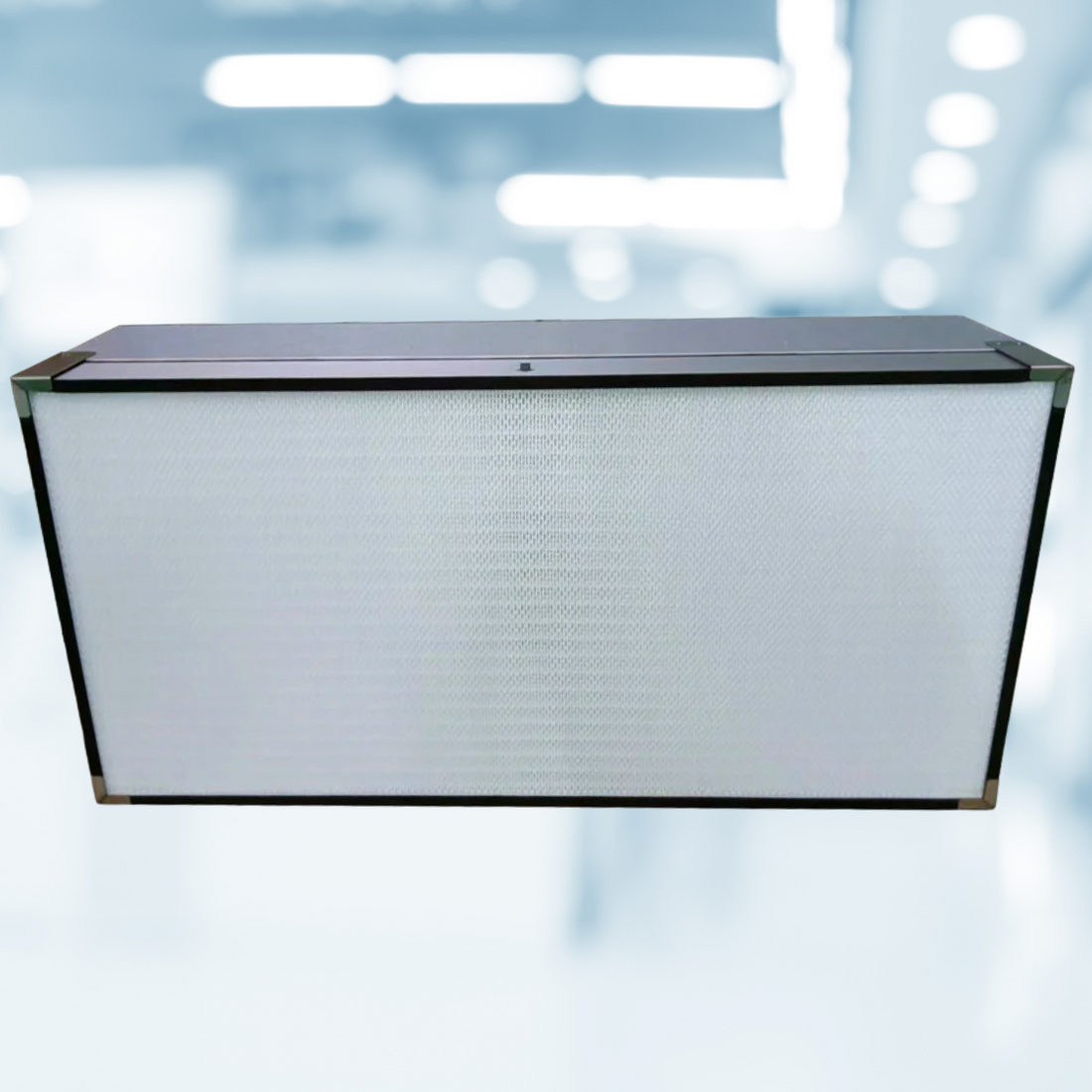 Laminar Flow Hood with Hepa H14 Filter