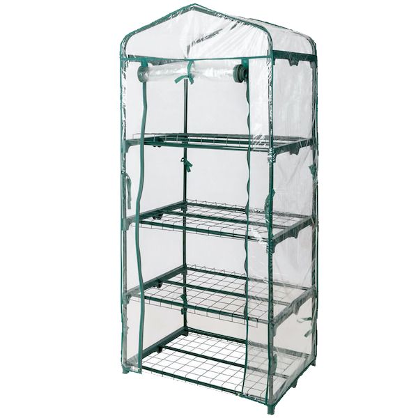 martha tent cubensis Martha grow tent – ToshiFarm
