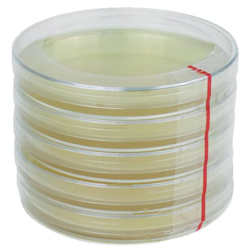 Petrischalen met Kimmig Agar (5 stuks)