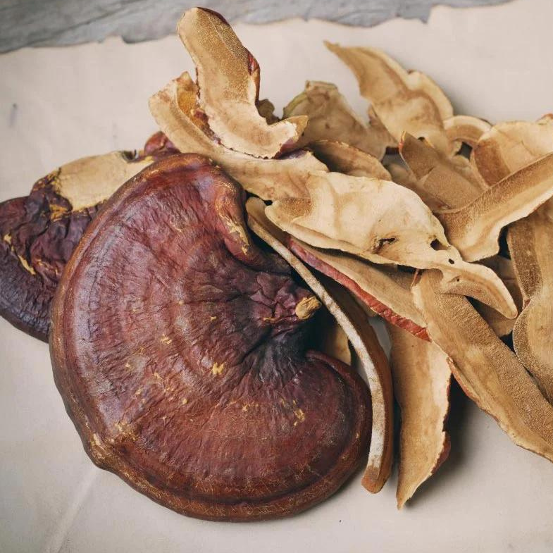 Reishi (organic) - Dried - Grade A