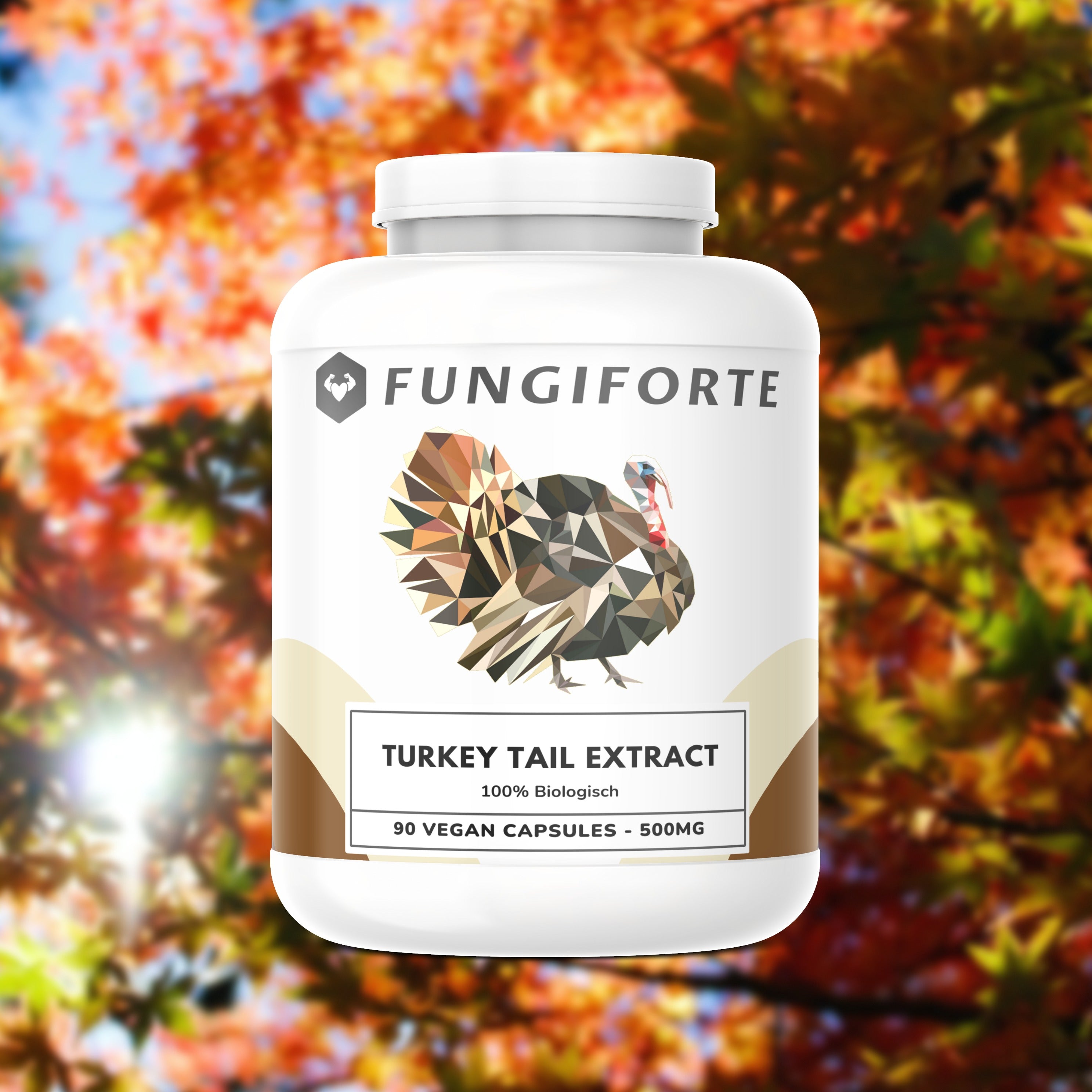 Queue de Dinde Extrait 500mg (bio) - 90 pièces