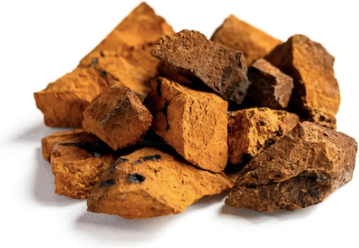 Chaga-Pulver (Bio)