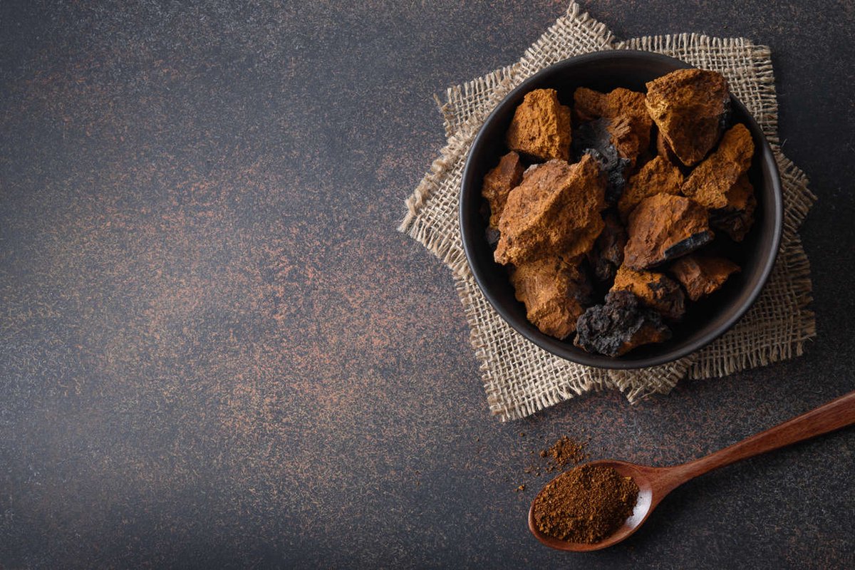 Chaga-Pulver (Bio)