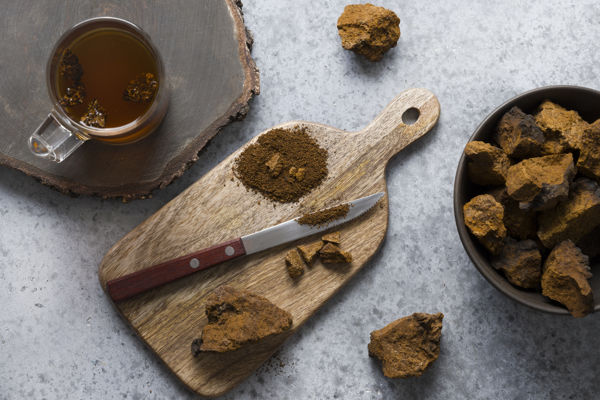 Plug spawn for Chaga