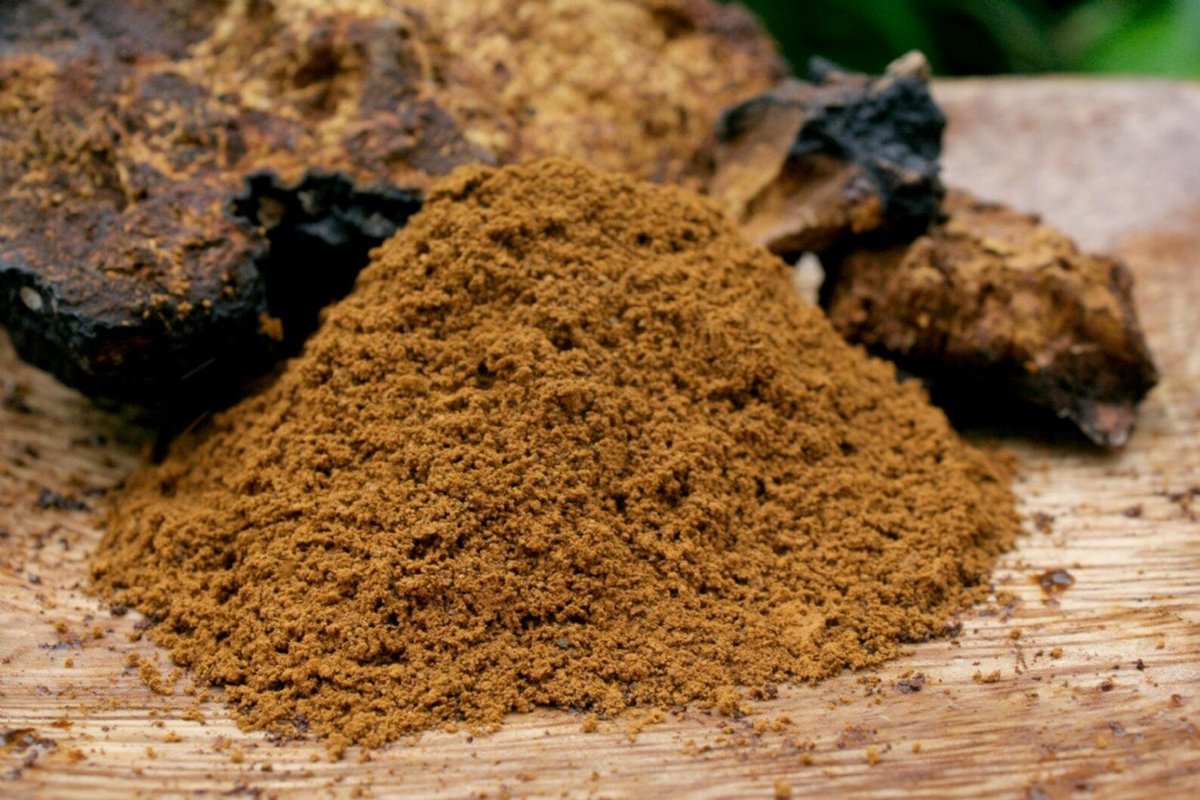 Chaga-Pulver (Bio)