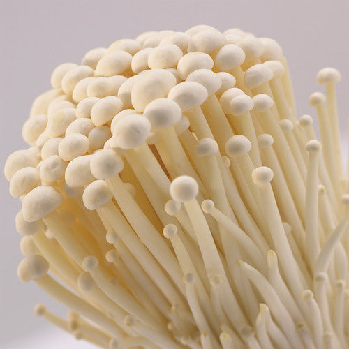 Spawn for enoki