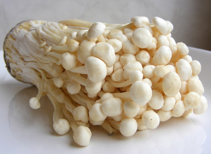 Spawn for enoki