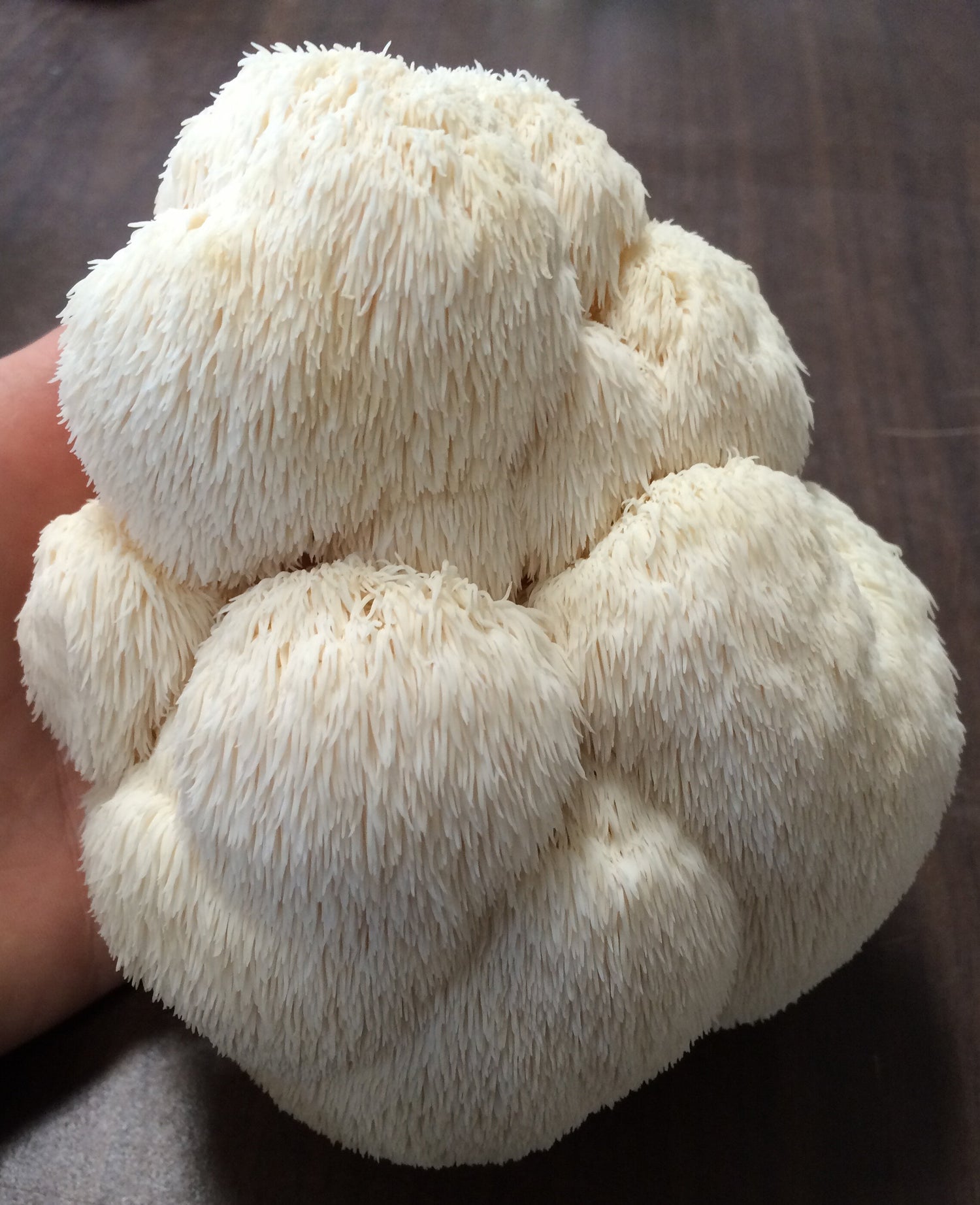 Starter Pack - 250 grams