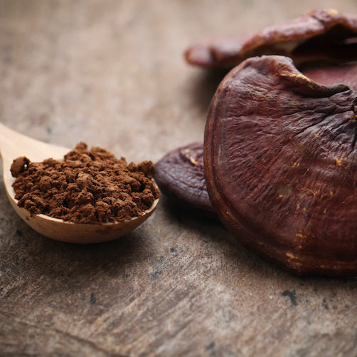 Reishi-Pulver (Bio)