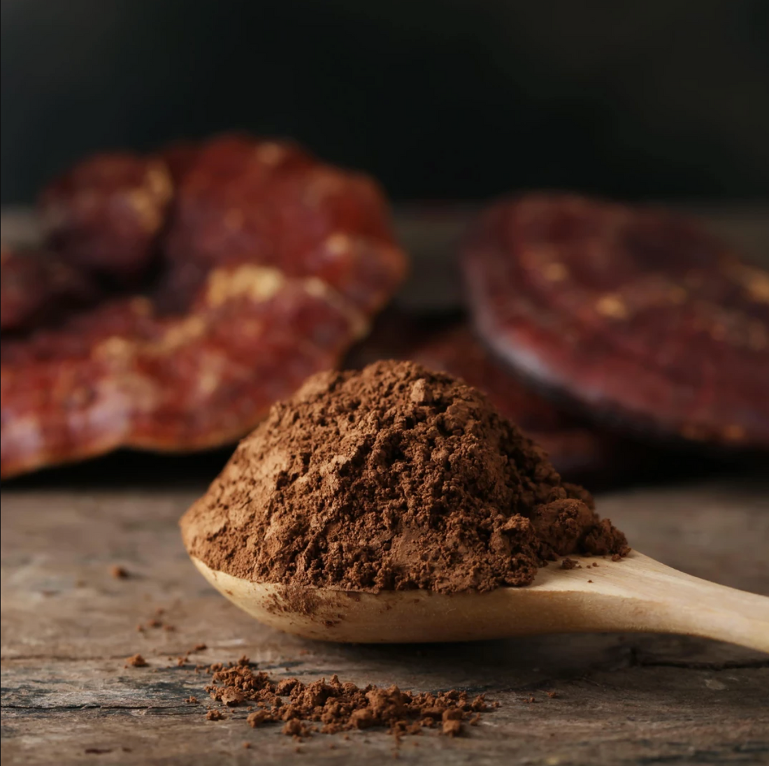 Reishi powder (organic)