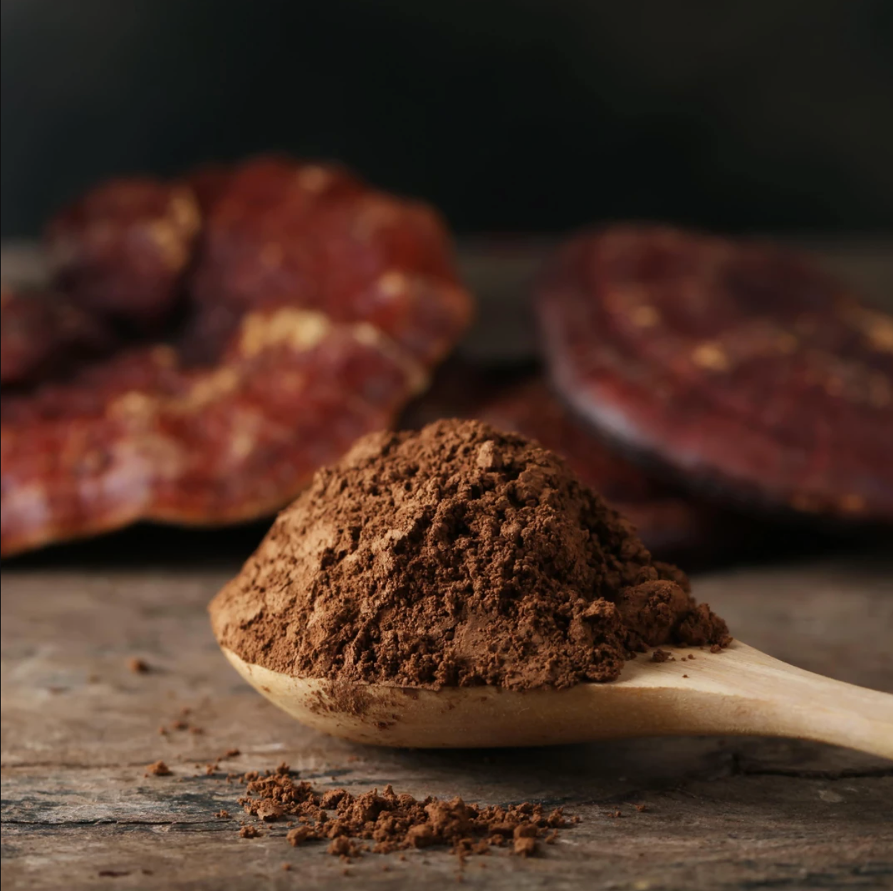 Reishi-Pulver (Bio)