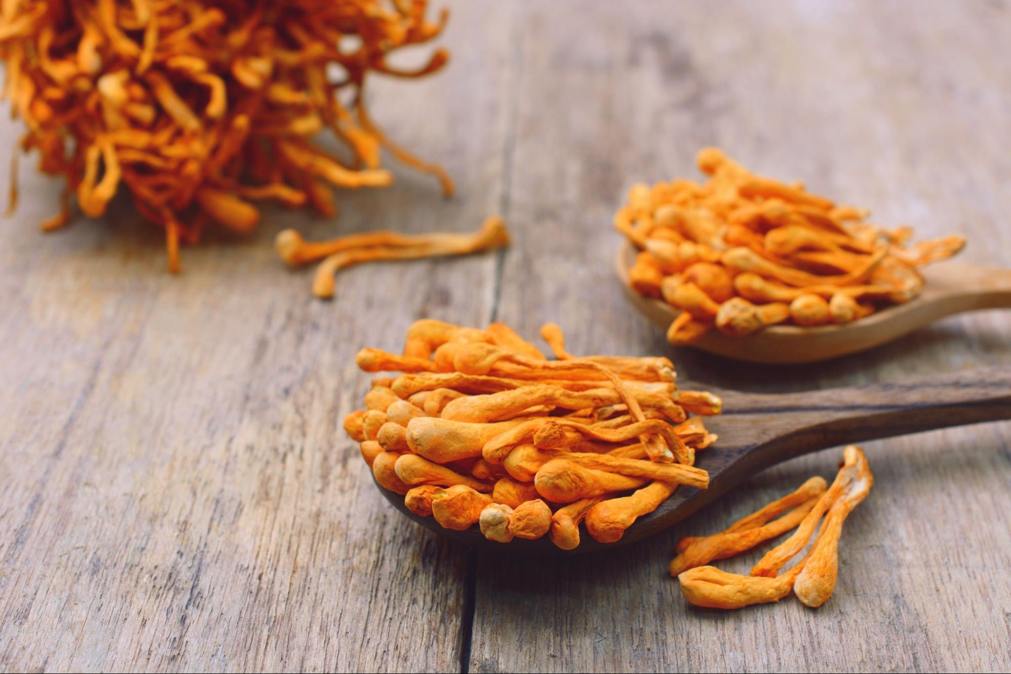 Café Chaga & Cordyceps - 250 grammes (bio) 🌱