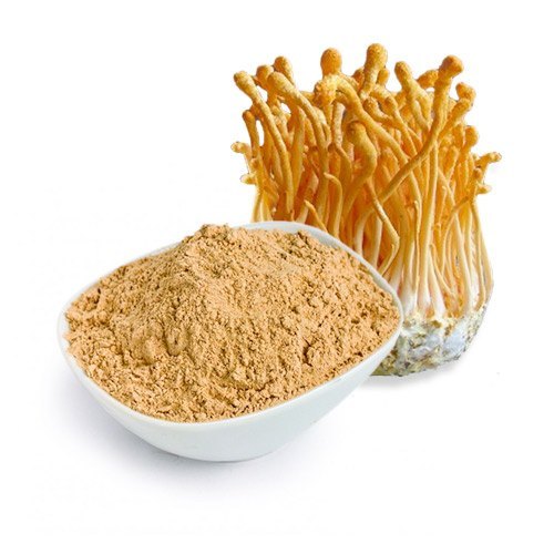 Café Chaga & Cordyceps - 250 grammes (bio) 🌱