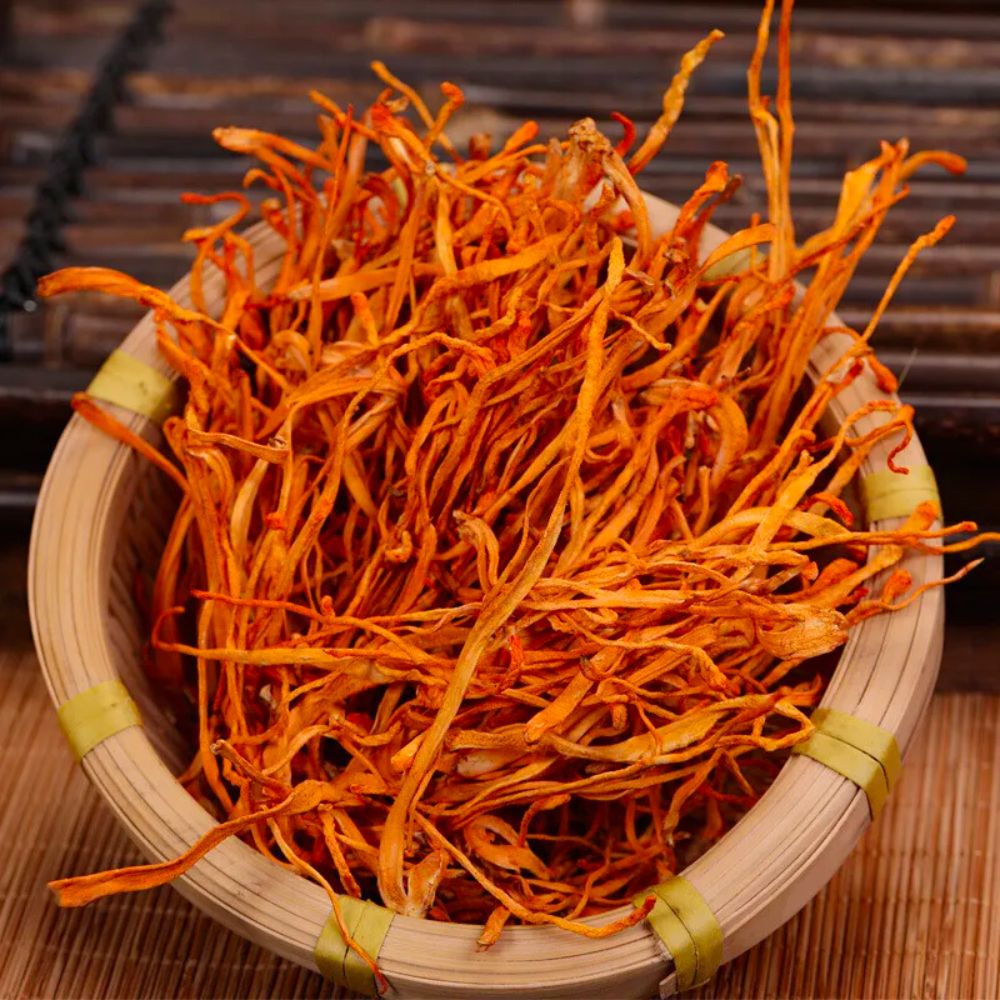 Cordyceps (organic) - Dried - Grade A