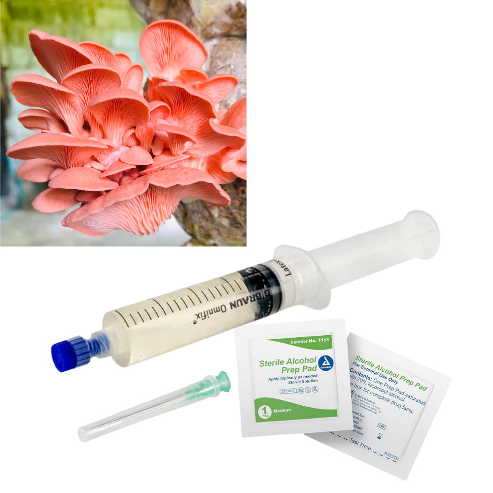 Liquid Culture for Pink Oyster Mushrooms