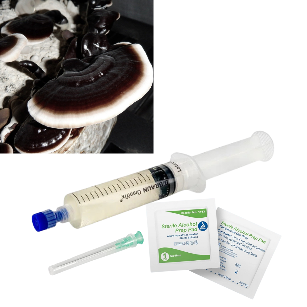 Liquid Culture voor Zwarte Reishi