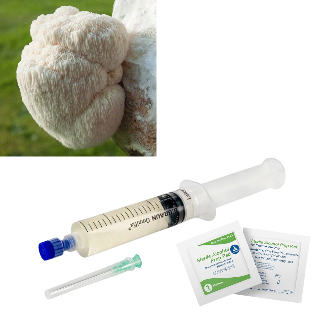 Liquid Culture for Lion&