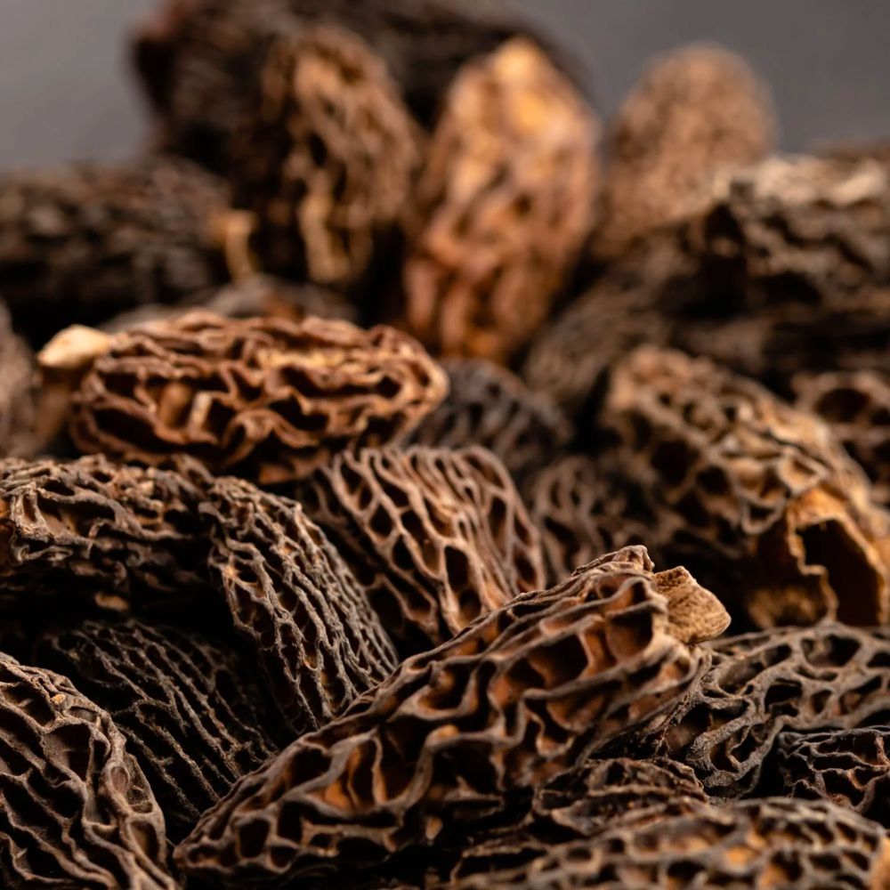 Kegelmorieljes Spéciales (wild foraged) - Dried - Grade A+