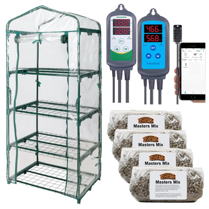 zelte pilz Pilz-Starterpaket – ToshiFarm
