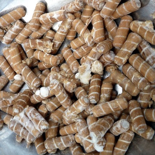 Wood plugs for Turkey Tail