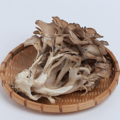 Maitake (Bio) - Torkade - Klass A